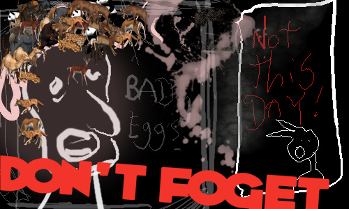 foget.jpg
